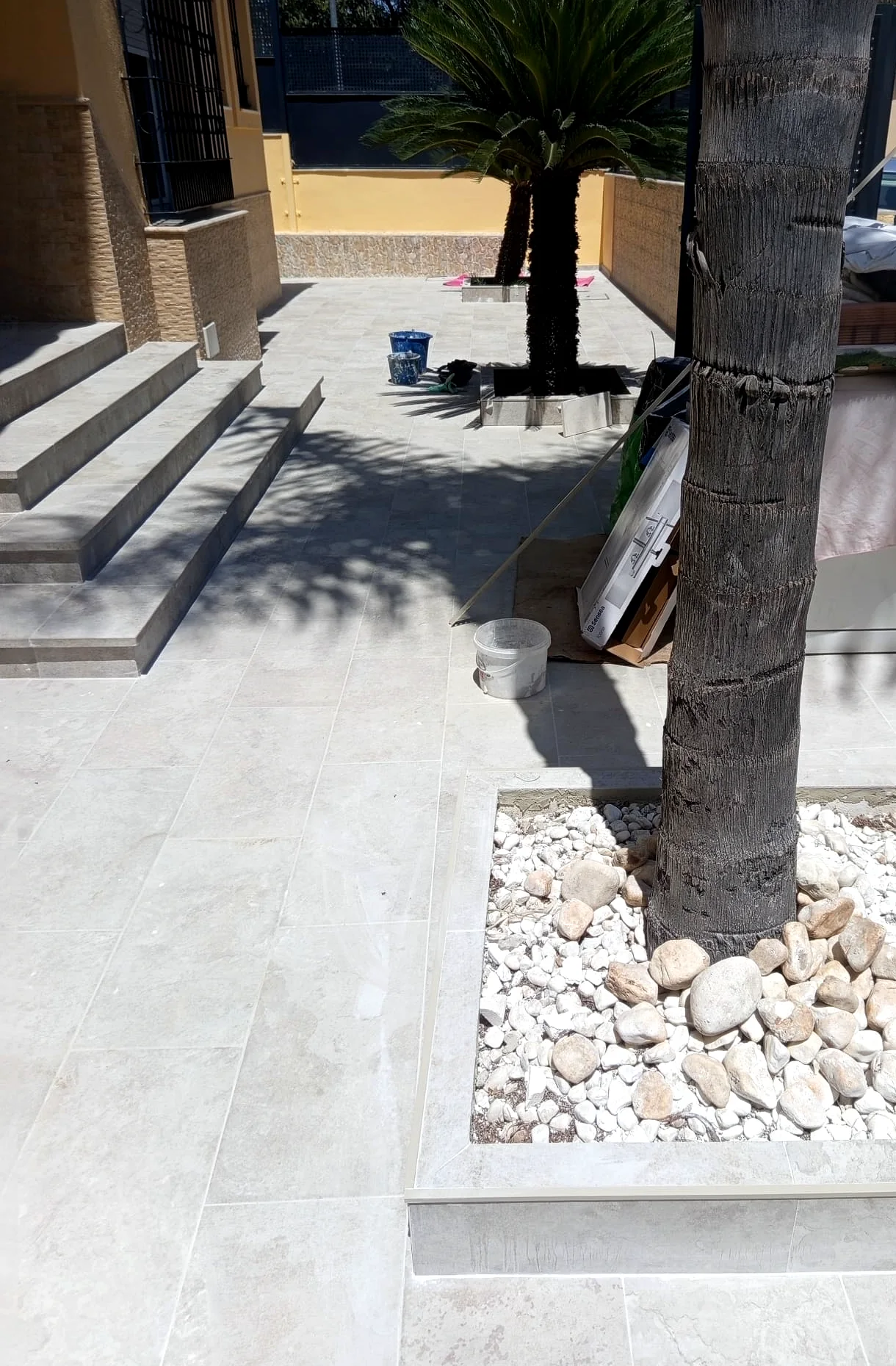 Patio exterior reformado con pavimento claro y palmera